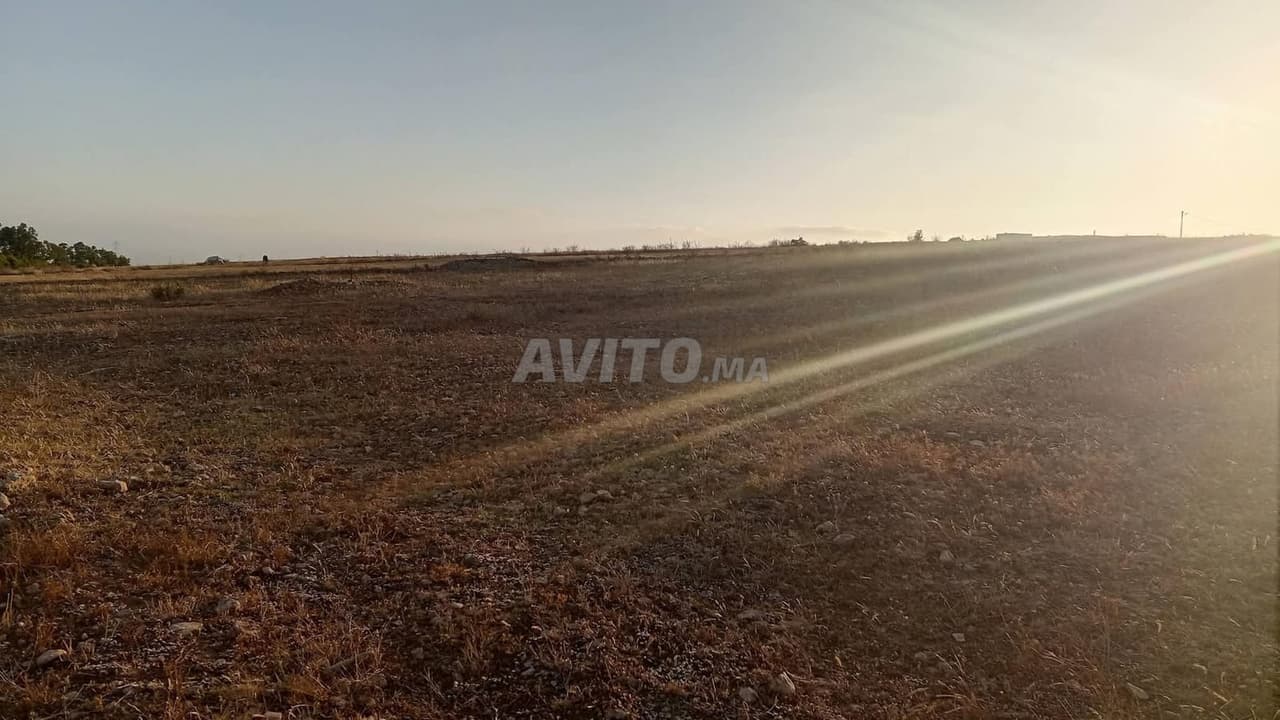 Landwirtschaftliches Grundstück zu verkaufen, in gutem Zustand und mit Eigentumstitel