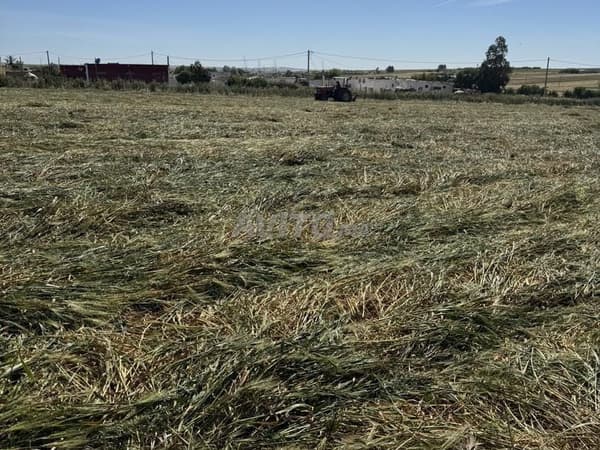 Ferme 2,6 hectares avec maison et clôture murale de 2m