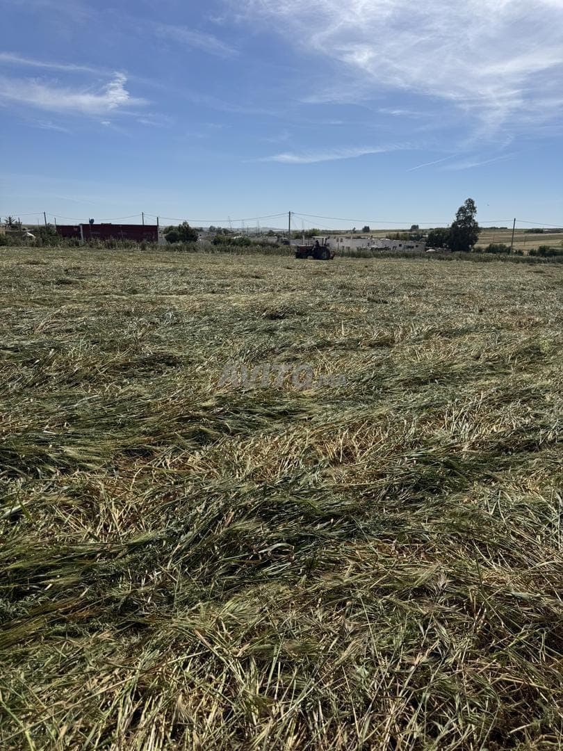 Ferme 2,6 hectares avec maison et clôture murale de 2m