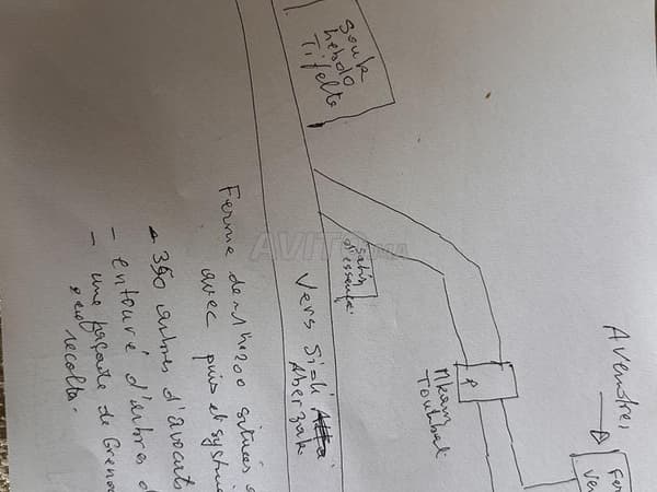 Ferme titrée Avocatiers Hass Puits Goutte à goutte