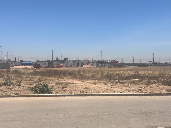 Vente Terrain nu à Bouskoura
