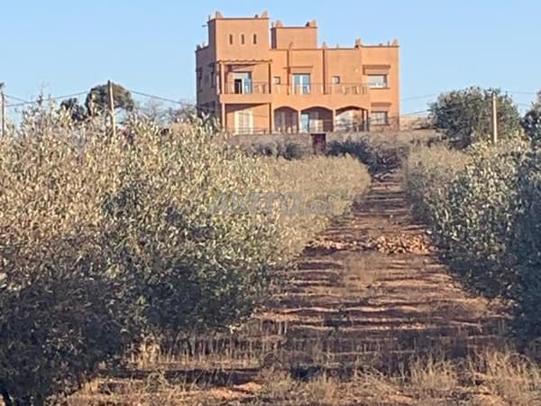 🏡 VILLA D'EXCEPTION AVEC FERME À VENDRE — OUJDA