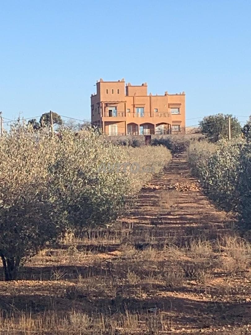 🏡 VILLA D'EXCEPTION AVEC FERME À VENDRE — OUJDA