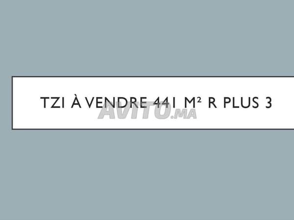 Terrain Zone Immeuble 441 m² R plus 3