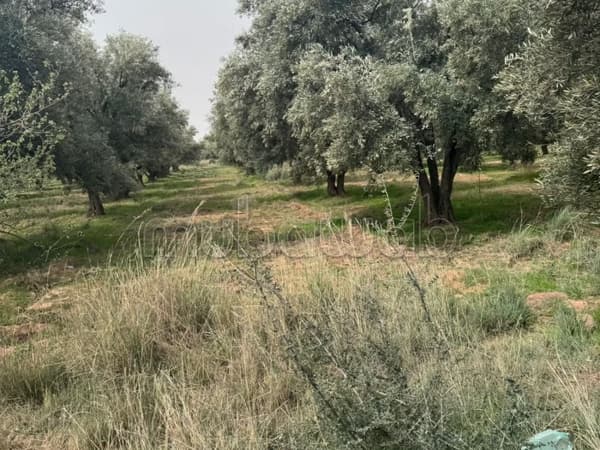 Ferme Agricole équipée 12 ha titrés