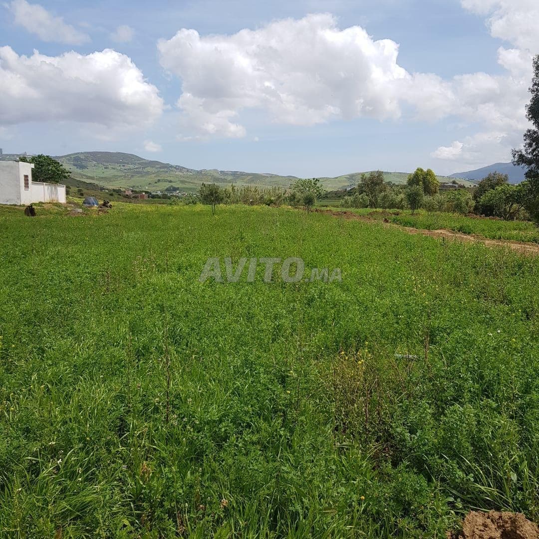 Terrain titré à vendre