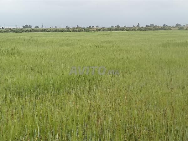 TERRENO TITOLATO IN VENDITA