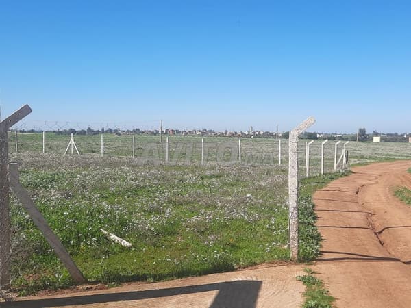 Terreno agricolo di 3 ha, titolo fondiario, in vendita, Tiflet