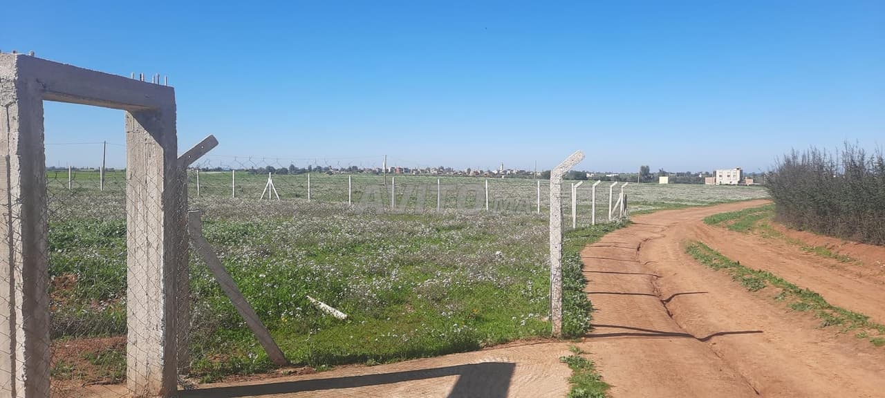 Terreno agricolo di 3 ha, titolo fondiario, in vendita, Tiflet