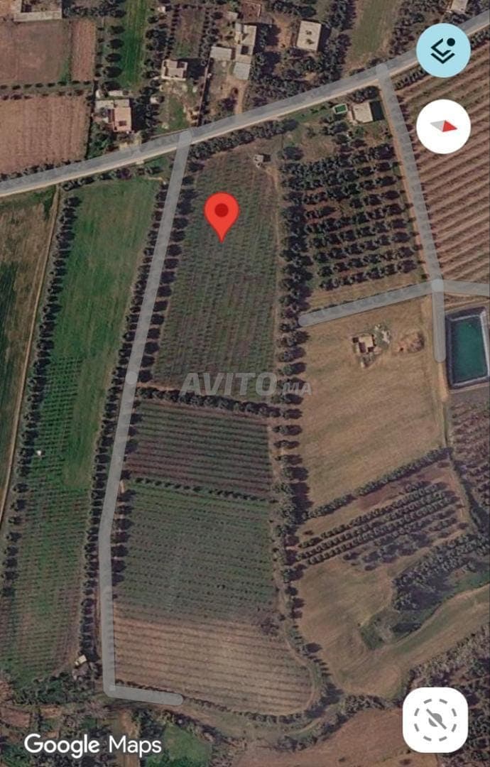 4 hectare te koop nabij de stad Meknès
