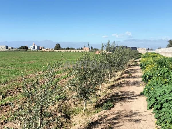 Prix réduit pour une vente rapide Ferme à vendre