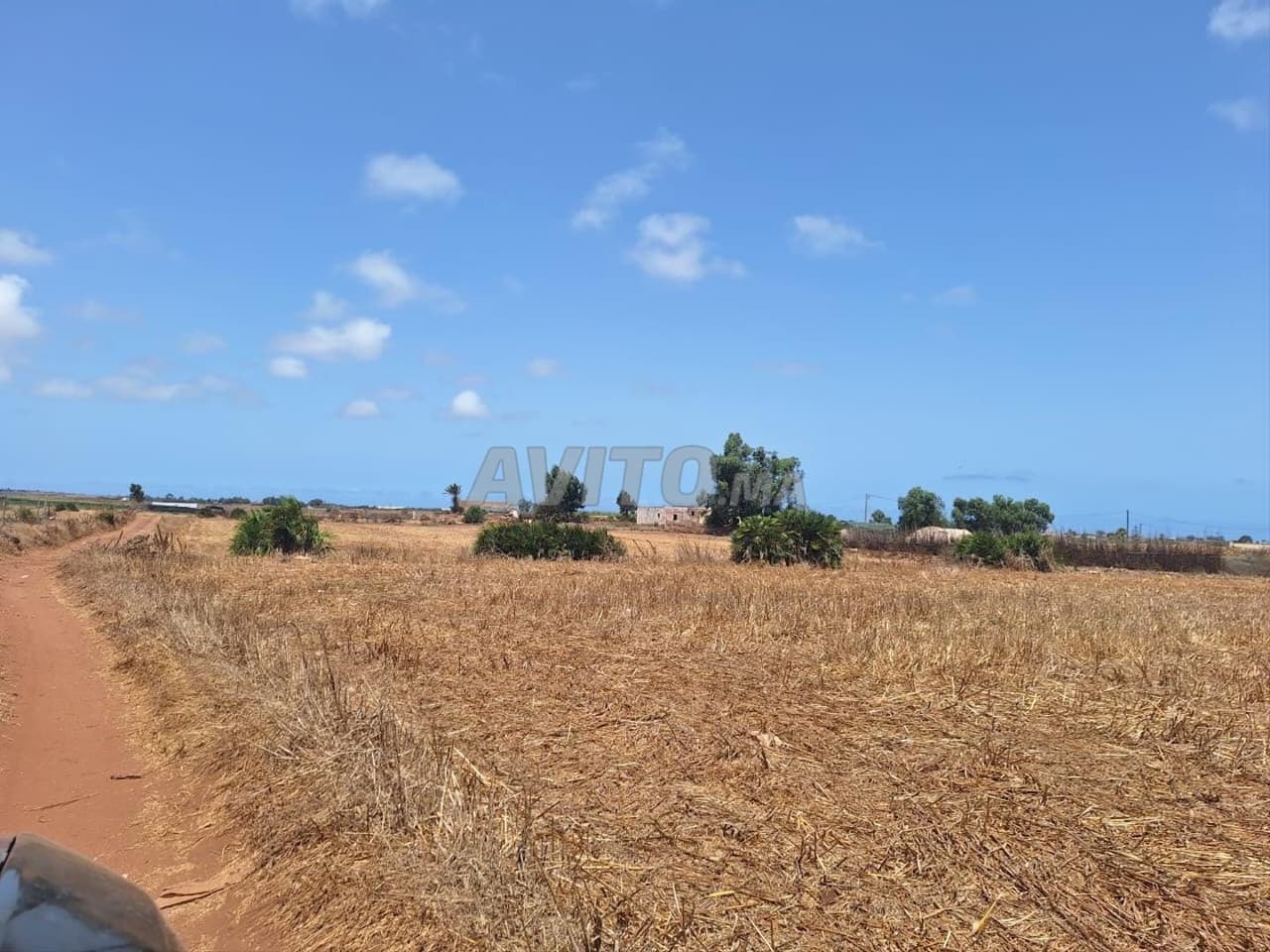 Titled plot of one hectare and 1,600 m² for sale