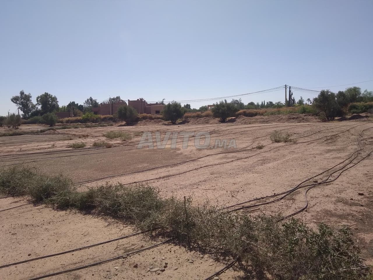 Land to Rent