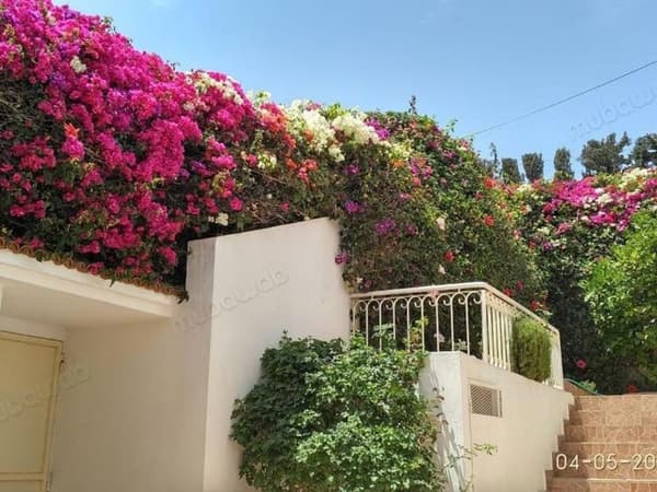 Belle maison a charaf