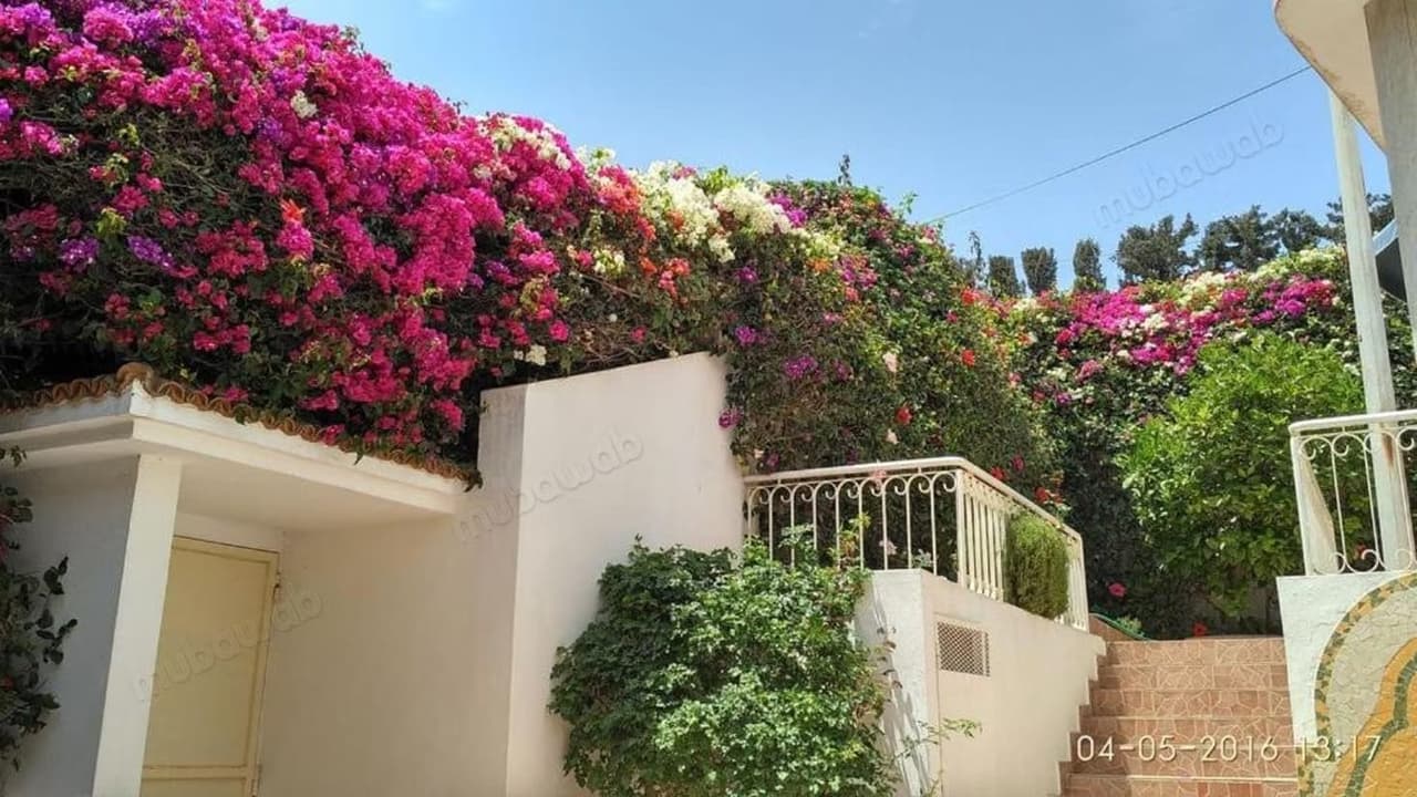 بيت جميل بالشرف