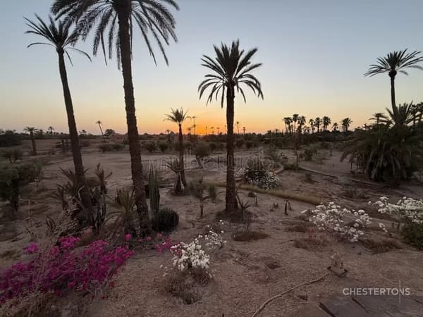 Magnifique terrain pour Villa Palmeraie