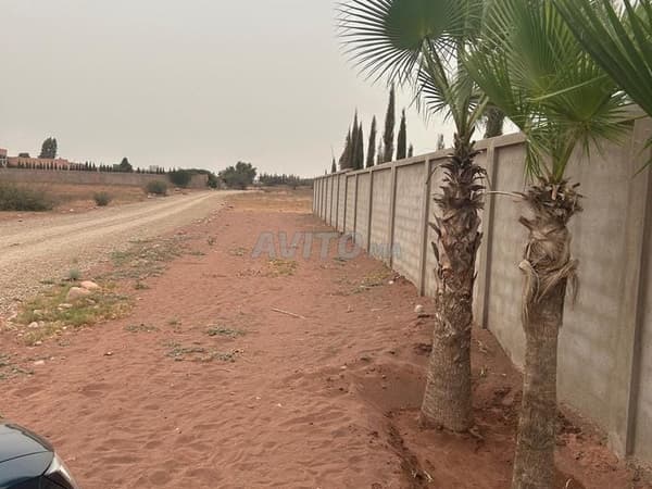 Terrain titré de 4000 m² à Issen avec permis