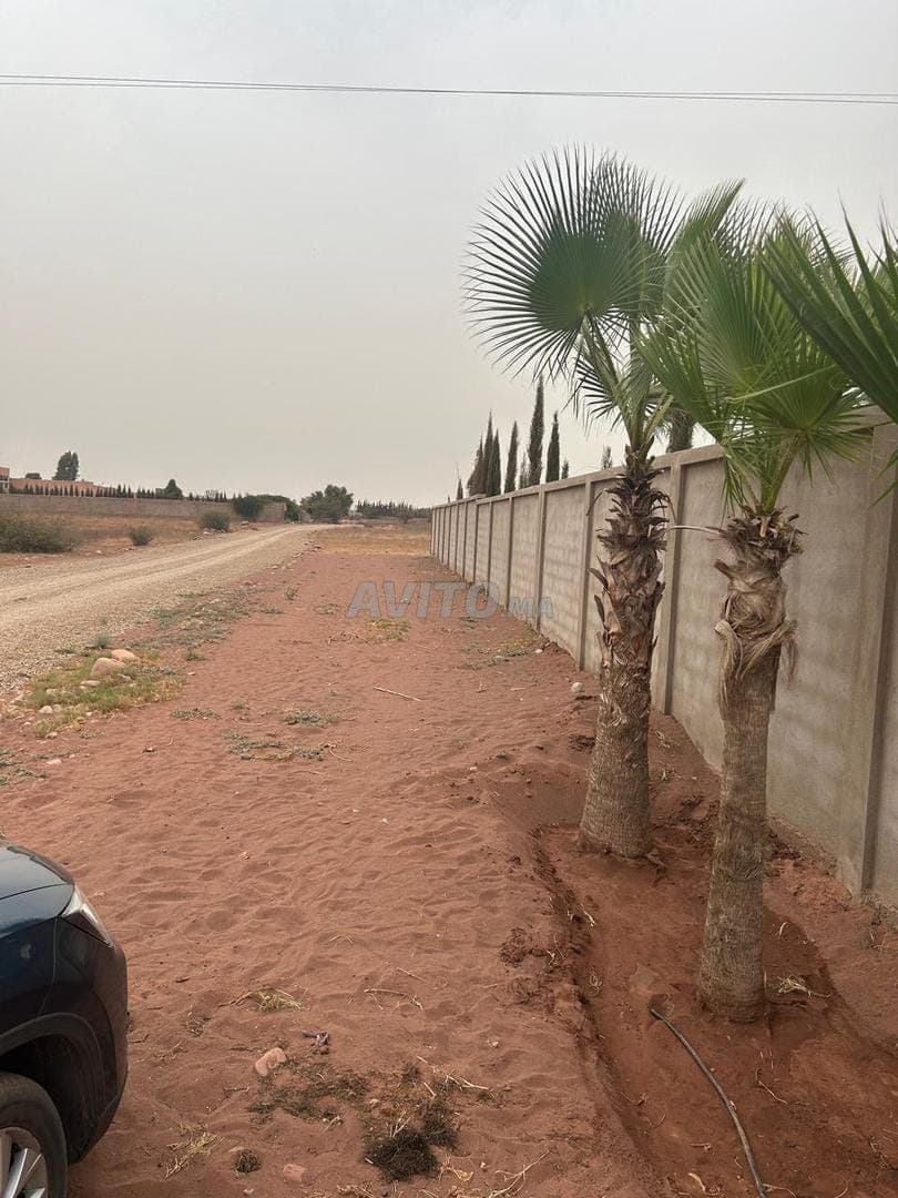 Terrain titré de 4000 m² à Issen avec permis