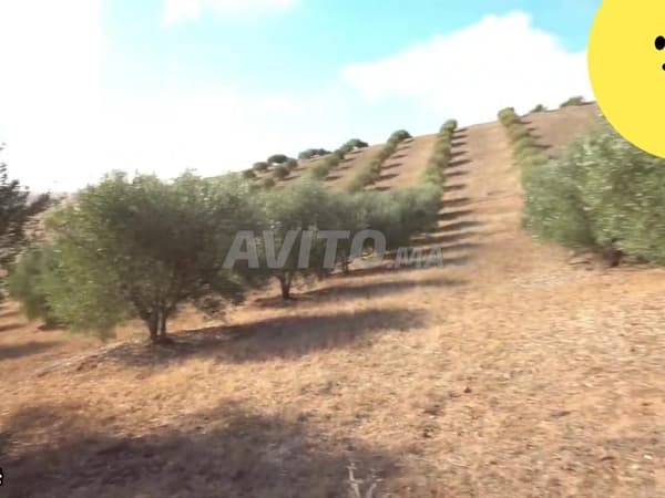 Hermosa finca en venta en Tiffelt