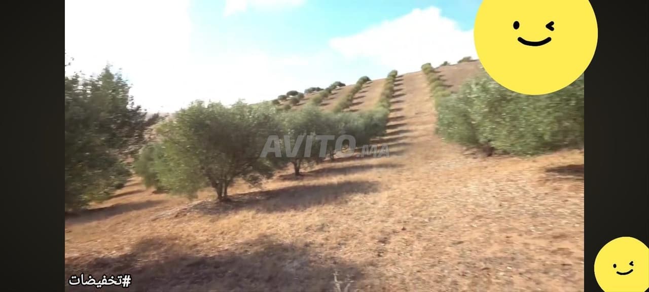 Hermosa finca en venta en Tiffelt