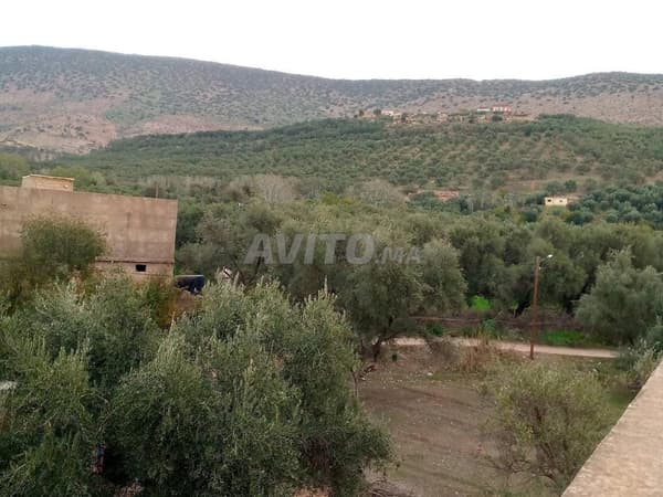 فيلا طريق فريطة وتغزيرت 280 متر مربع