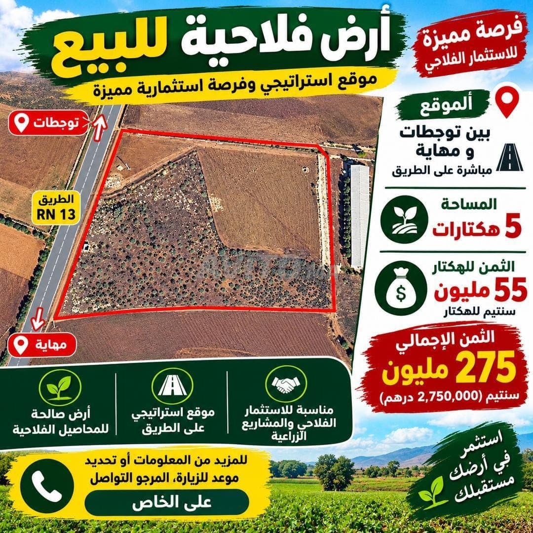 Terreno agricolo sulla strada 5 ettari