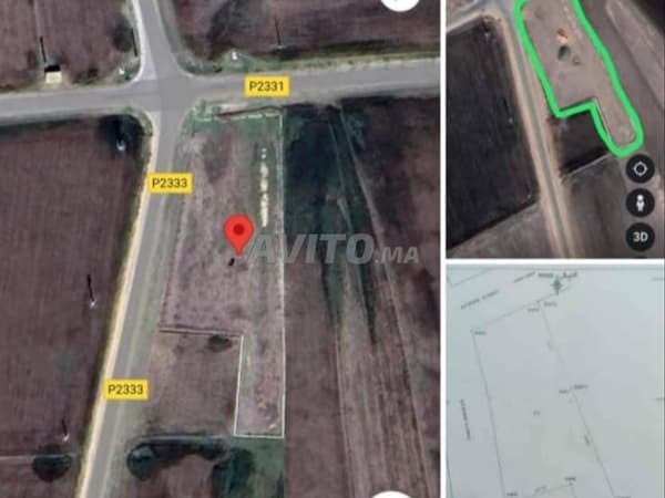 Terrain titré d'une superficie de 3100 m², Jemaa Sahim