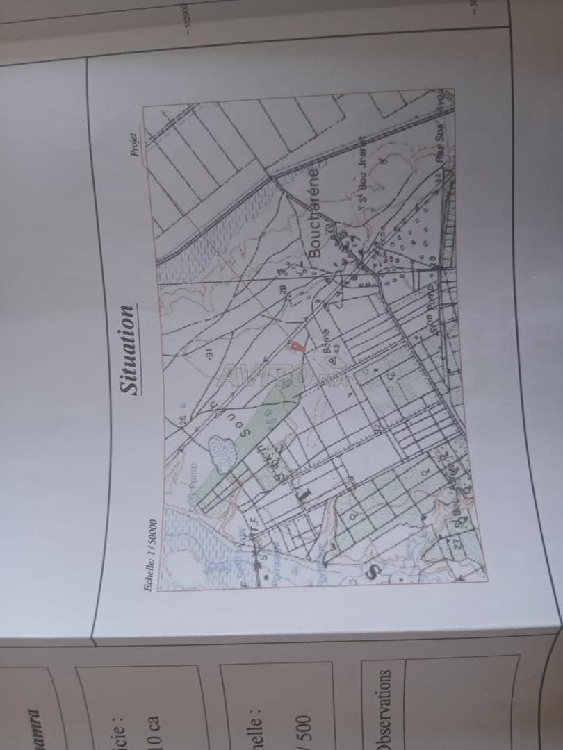 🥑 Landbouwgrond van 12 000 m² met 460 avocadobomen
