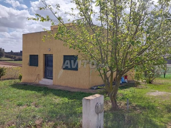 Ferme 1ha titre kamouni om sallat
