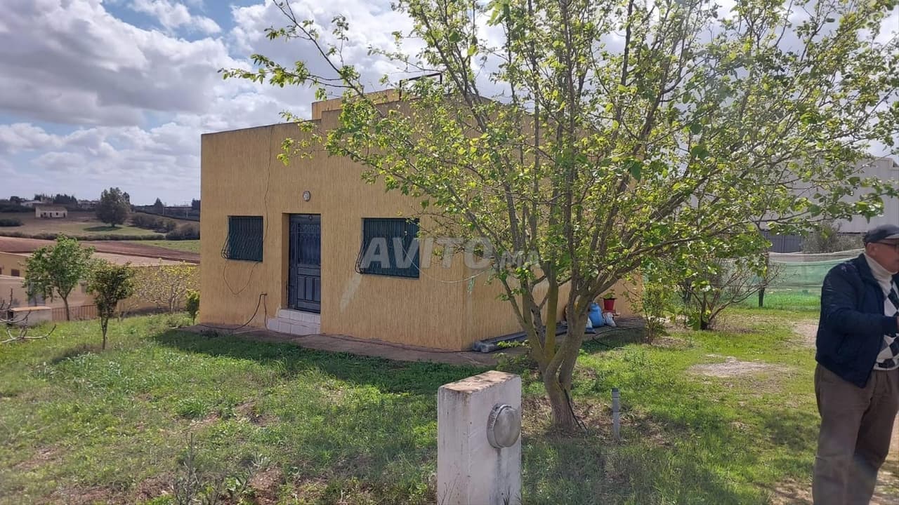 Ferme 1ha titre kamouni om sallat