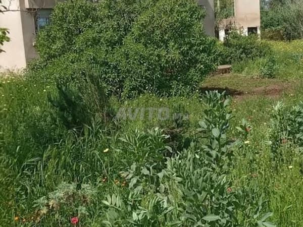 Terreno vicino all'autostrada