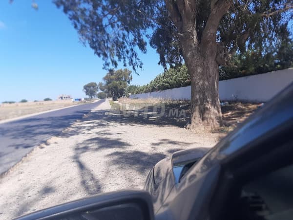 Hectare with title deed in El Houzya