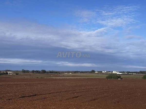 10000 m2 titre sidi rehal
