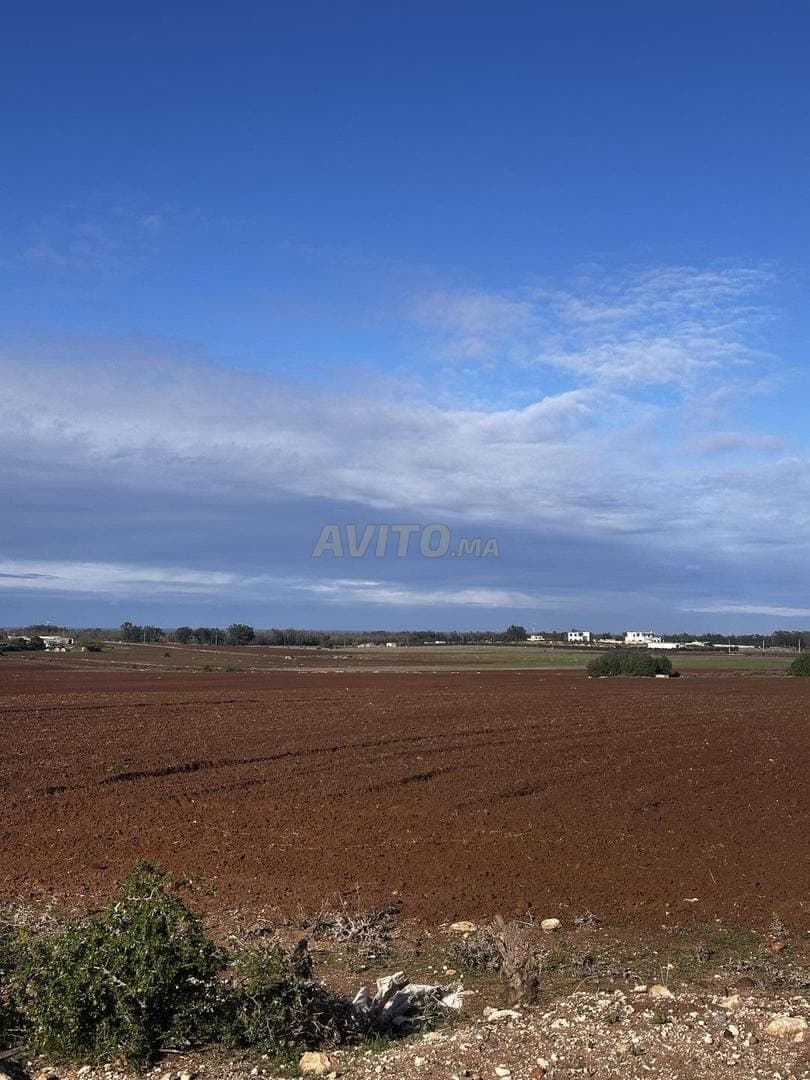 10000 m2 titre sidi rehal