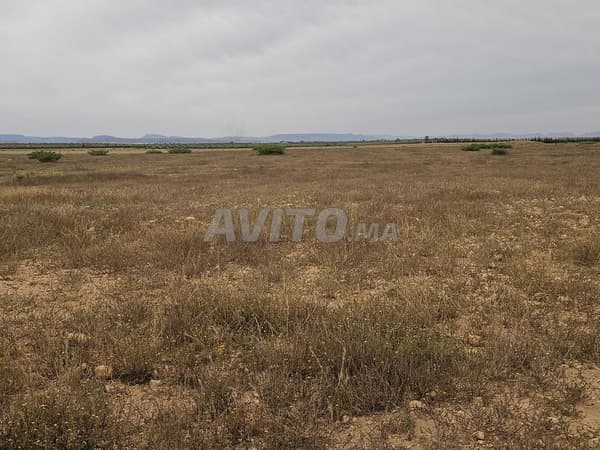 Terrain agricole avec beaucoup d'eau