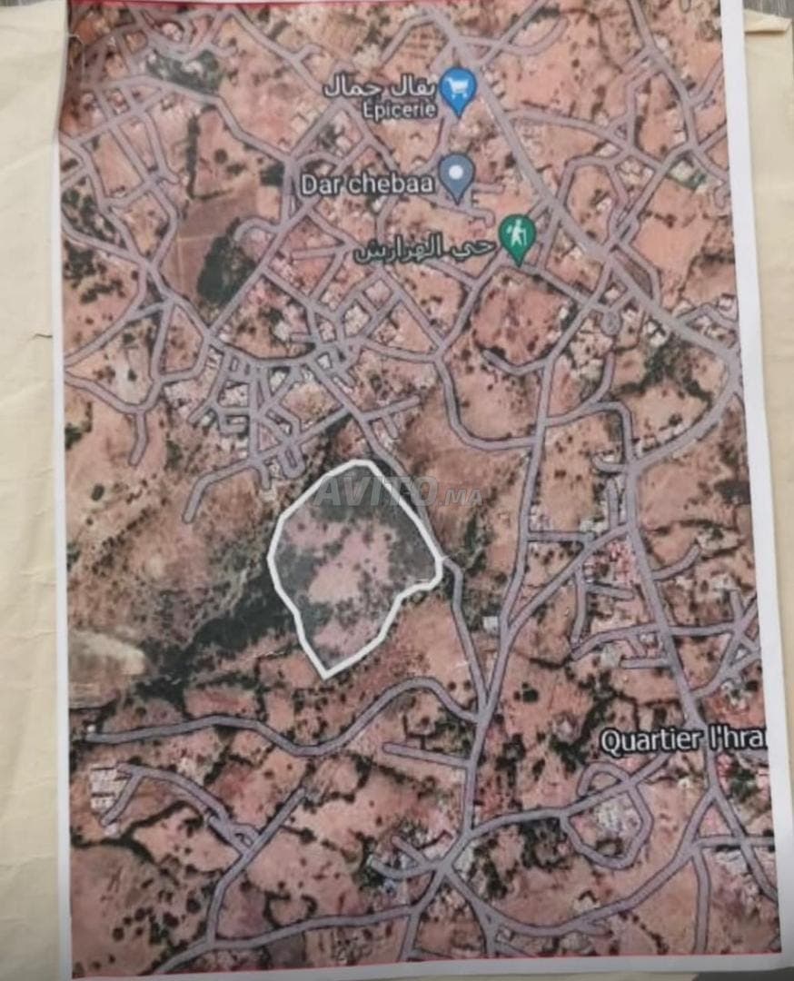 طنجة بالية هرارش