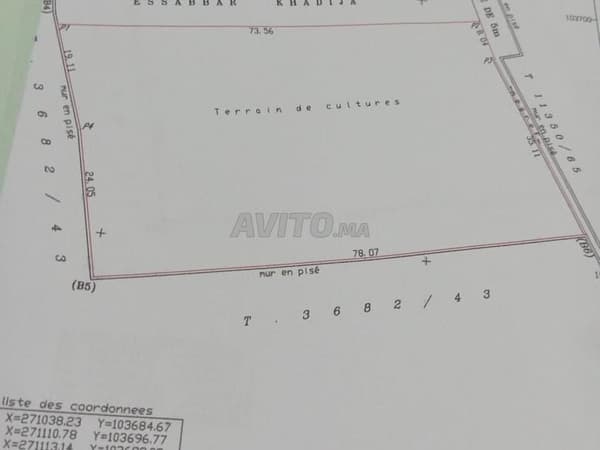 Grundstück von 3000 m² in Villenzone