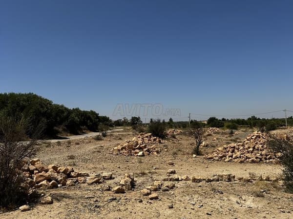 five plots for sale