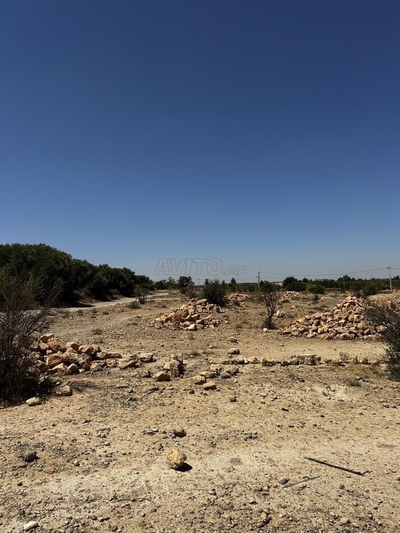 five plots for sale