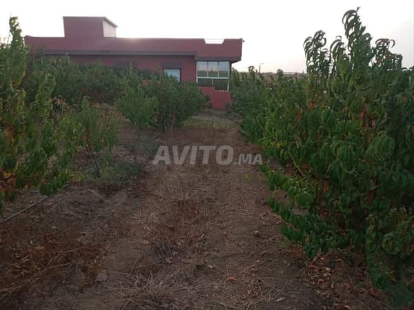 Equipped farm for sale