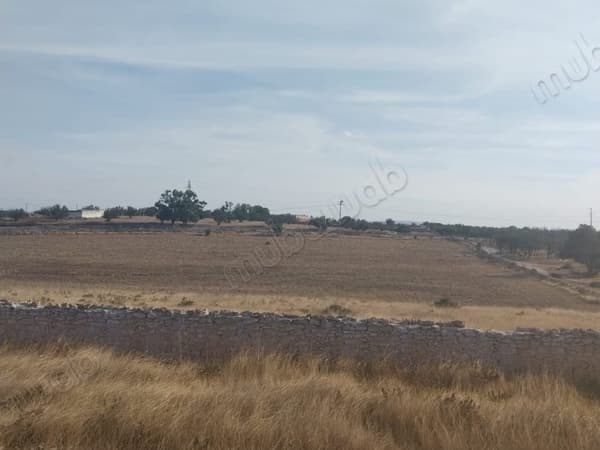 13,000 m² plot for sale 12 km from Essaouira
