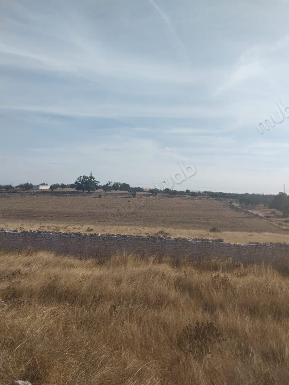 Terrain de 13 000 m² à vendre à 12 km d’Essaouira
