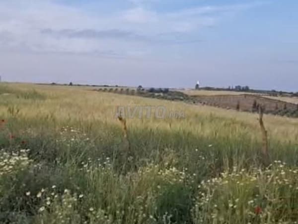 Terrain agricole