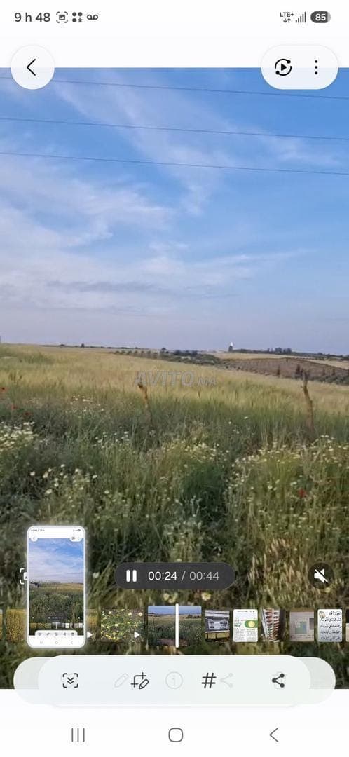 Terrain agricole