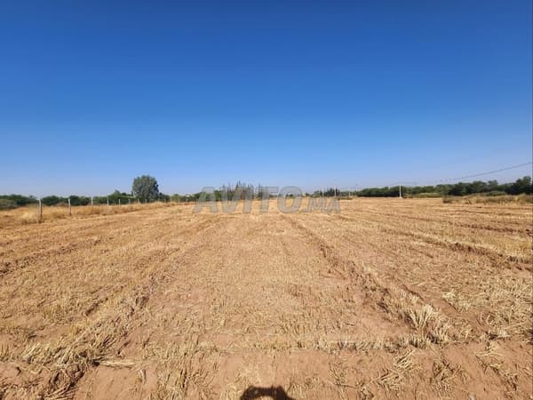 BAUGRUNDSTÜCK VON 5 000 m²