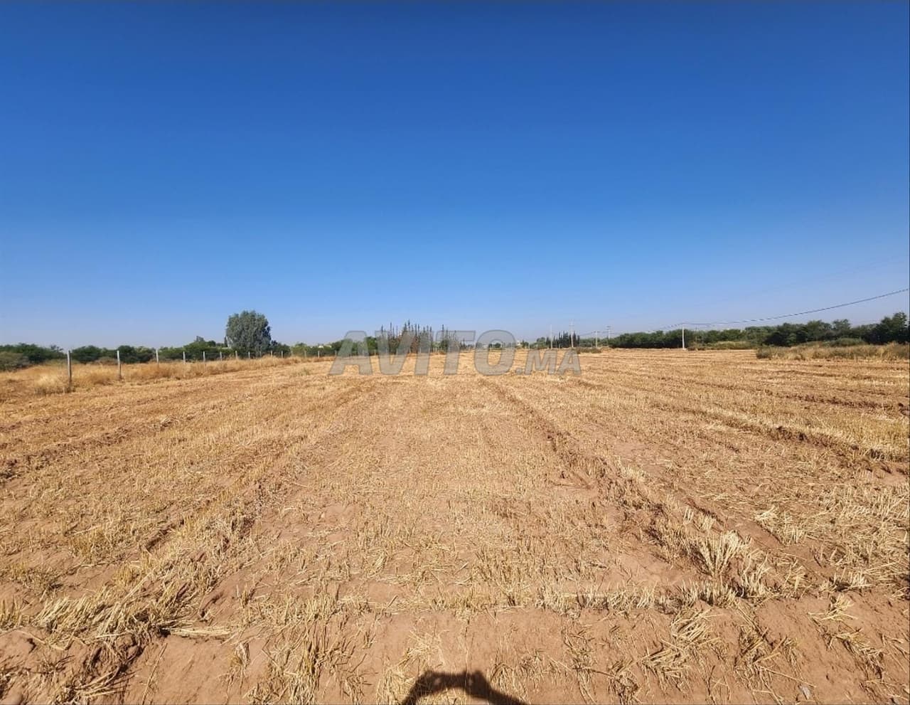 TERRAIN CONSTRUCTIBLE DE 5 000 m²
