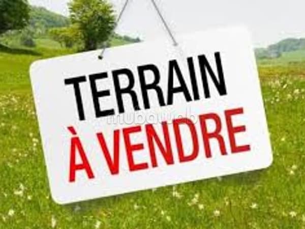 Terrain de villa ou un cabanon pied dans l'eau