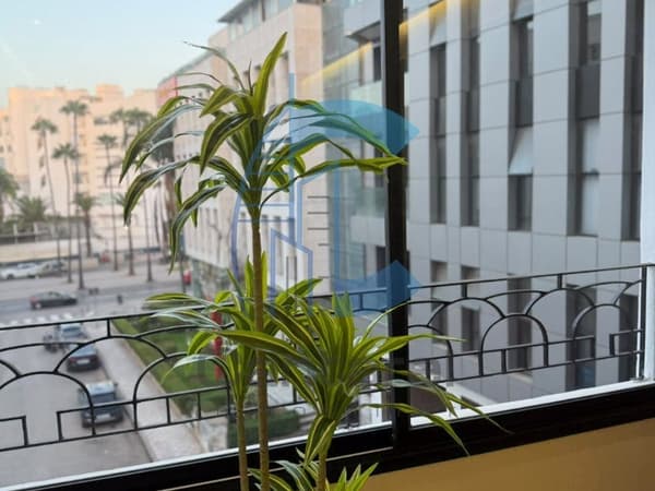 BEAUTIFUL NEVER-LIVED STUDIO FOR RENT - GAUTHIER -