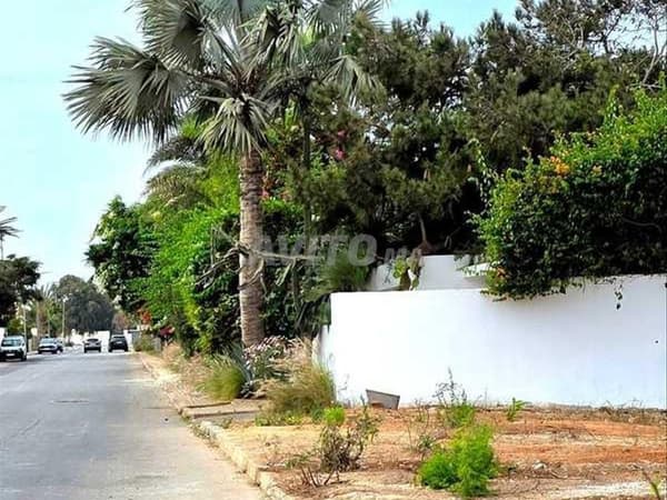 155252-Vente Terrain à Casablanca Ain Diab de 1174