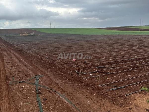 Terrain agricole titré à vendre 10 hectares